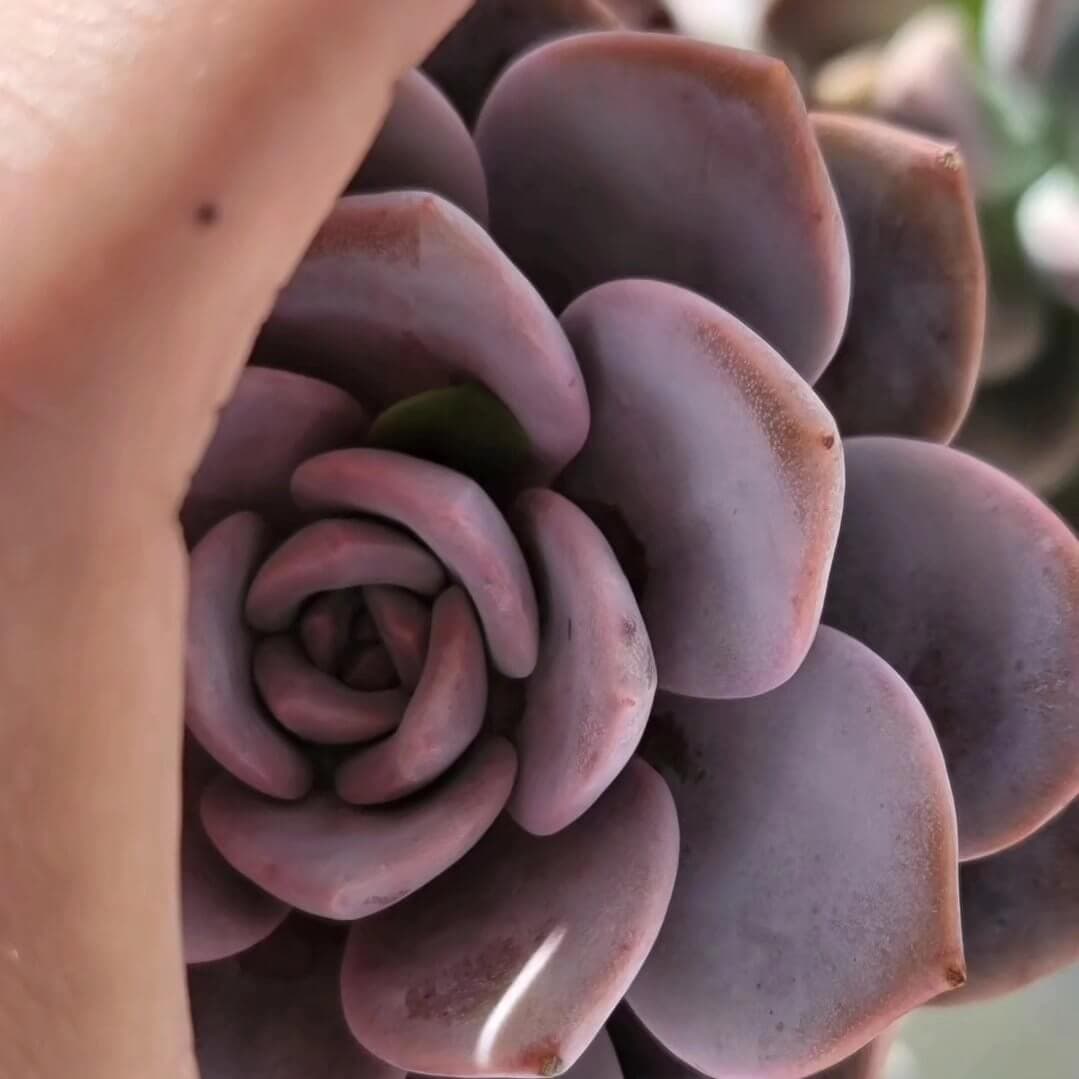 Foto de Lissette Verás