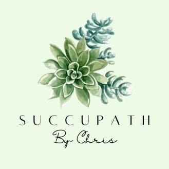 Foto de Chrisley Alnos