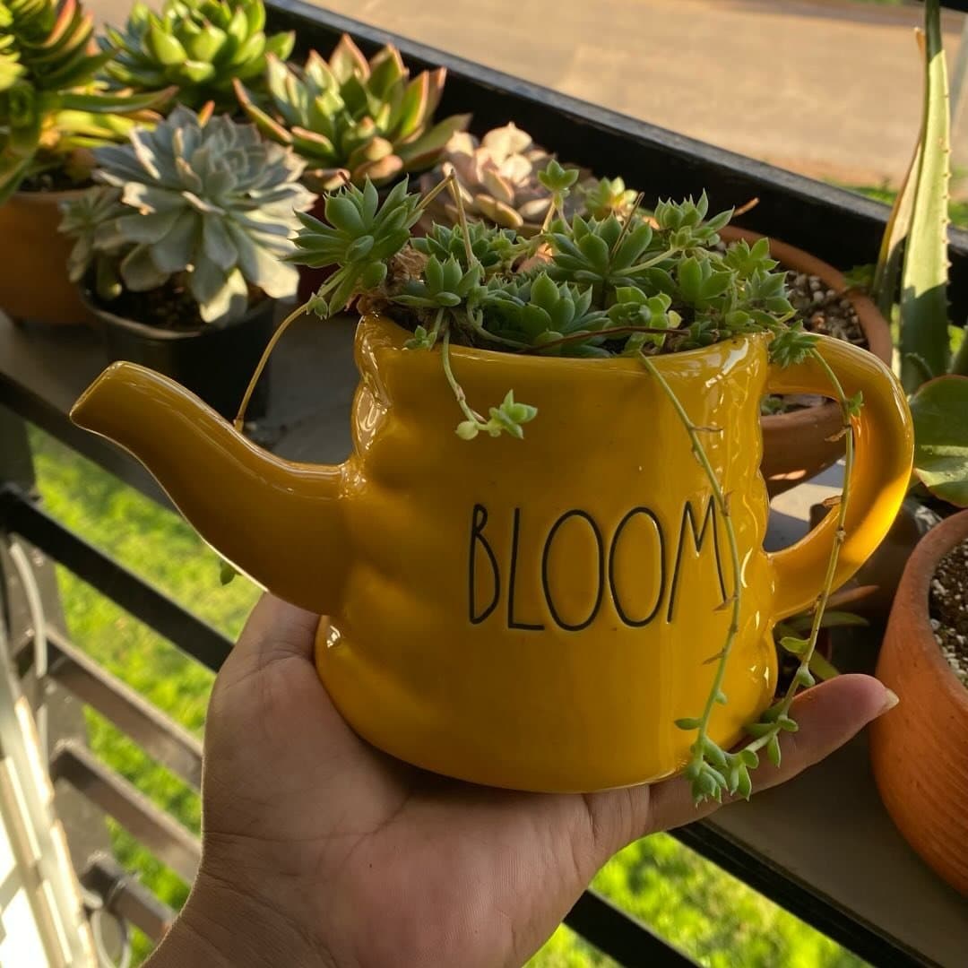 Foto de Marieli Martines